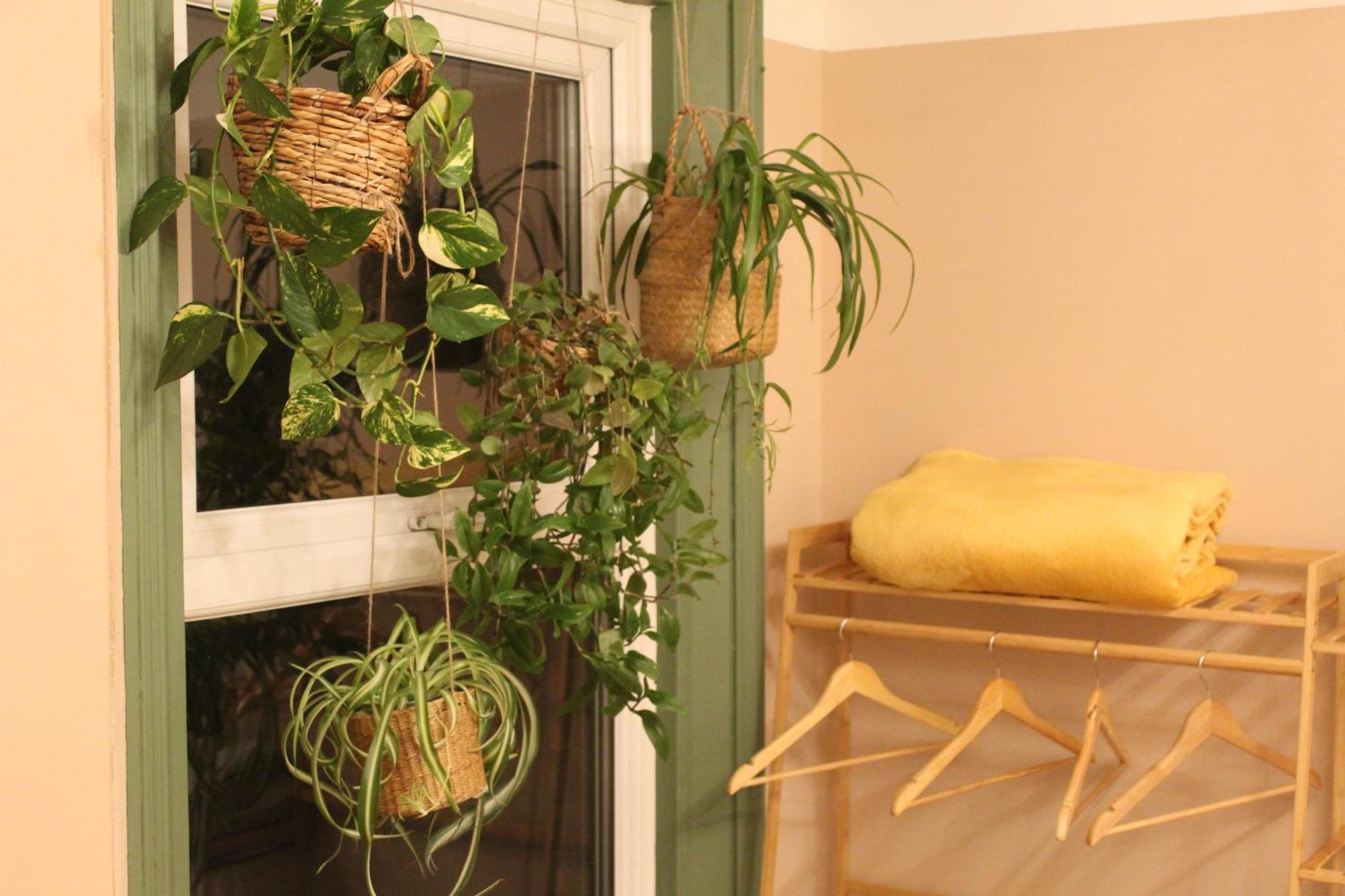Peacehaven Retreat - 4 Minutes From The Beach! Pet Friendly! Веймут Екстер'єр фото